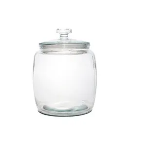 Aqua Canister Glass Belly Glass Lid 940ml 0.5kg 27587