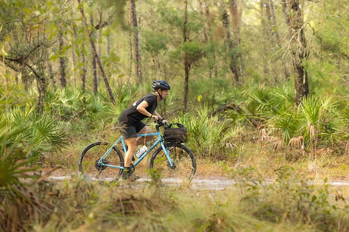 Surly Preamble Bike